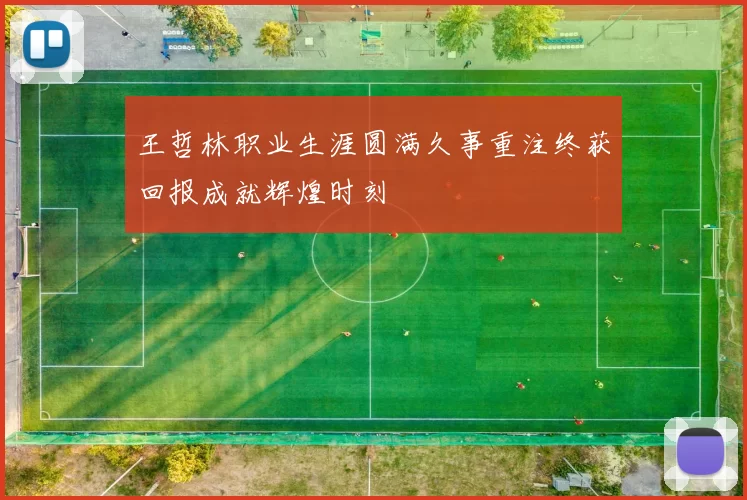 王哲林职业生涯圆满久事重注终获回报成就辉煌时刻